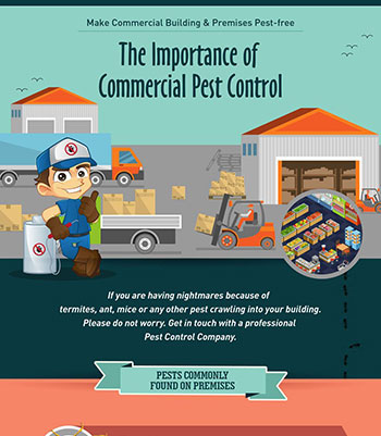 Most Common Pests found in Commercial Building & Premises