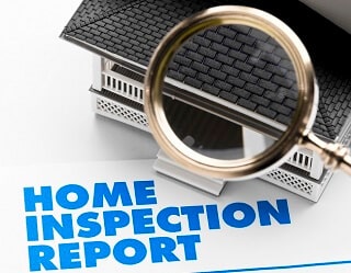 Pest Inspection Report