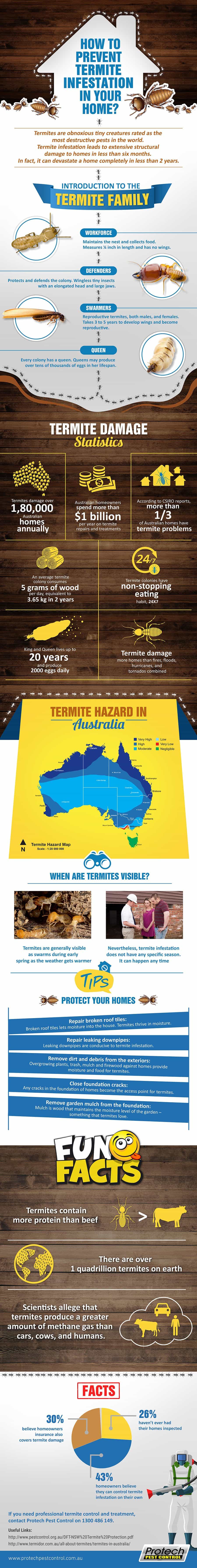 Prevent Termite Infestation