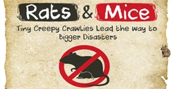 Comprehensive Information On Rats and Mice Infographic
