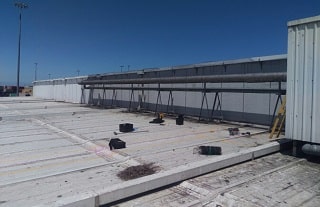 Seagull Proofing Neting