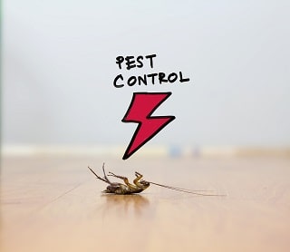 Cockroach Control 