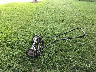 Lawn Trim