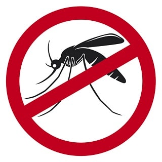 mosquito pest control