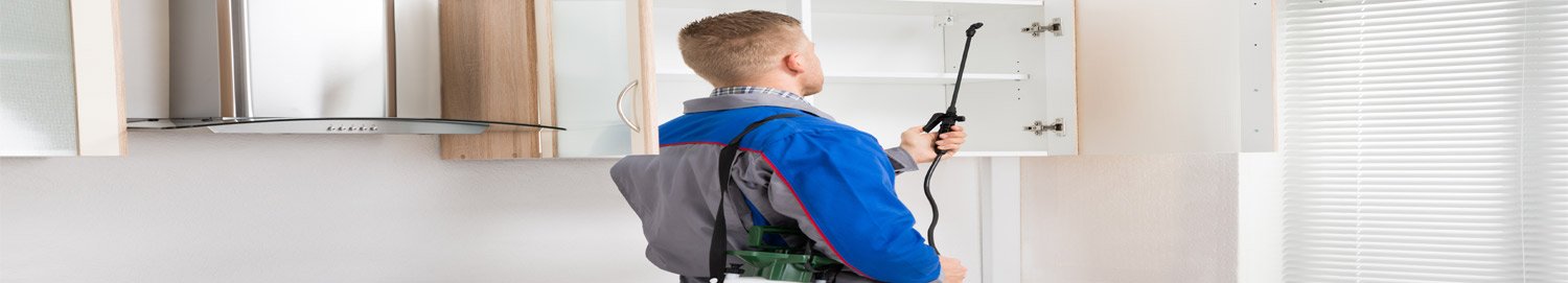 Pest Control Bayswater