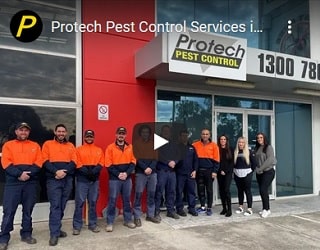 Protech Pest Control