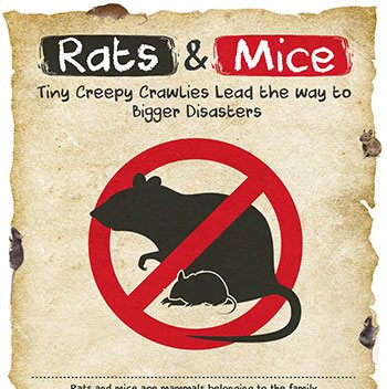 Rats and Mice