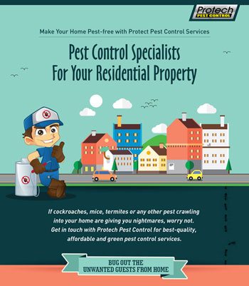 Residential Pest Control