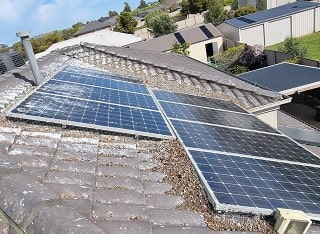 Solar Panel Bird Protection