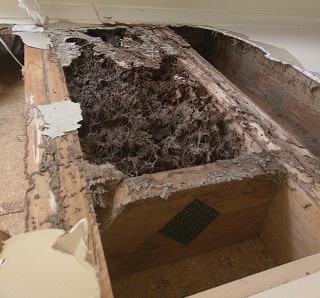 Termite damage to split floor timbers