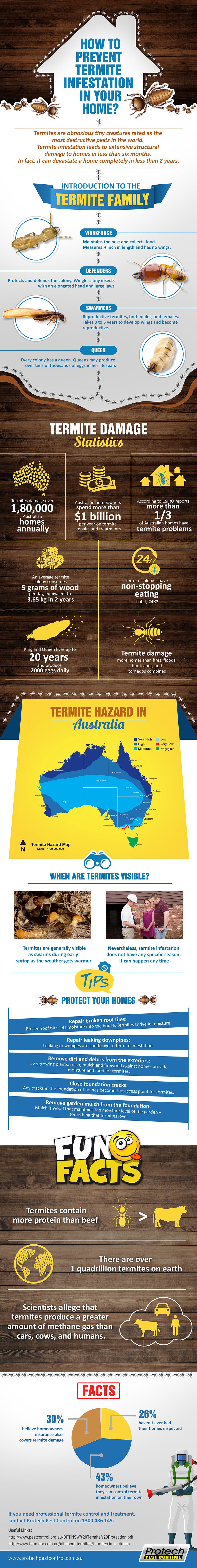 Prevent Termite Infestation