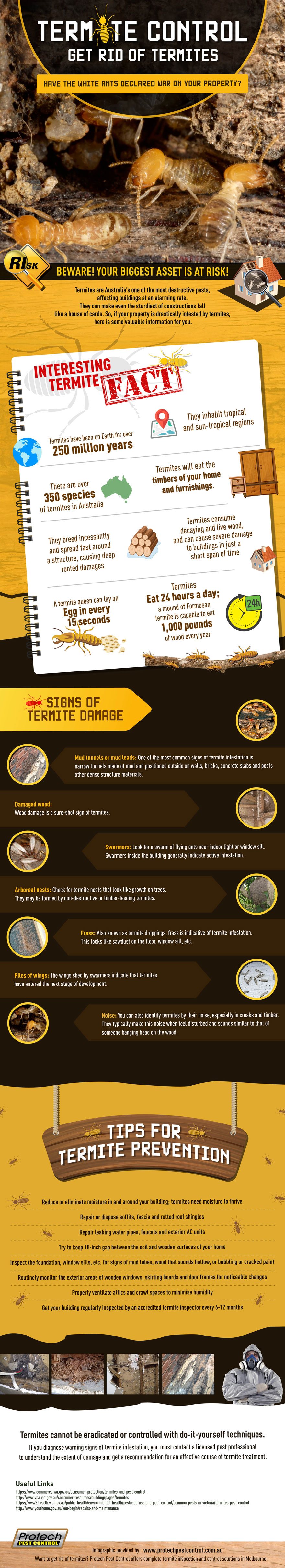 Termite Control Get Rid of Termites
