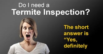 Termite Inspection