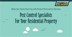 Pest Control Specialists for Your Residential Property