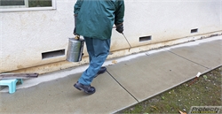 Pest Control: Advantages of Keeping Pests at Bay