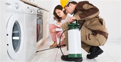 7 Factors that Determine the Price of a Pest Control Service