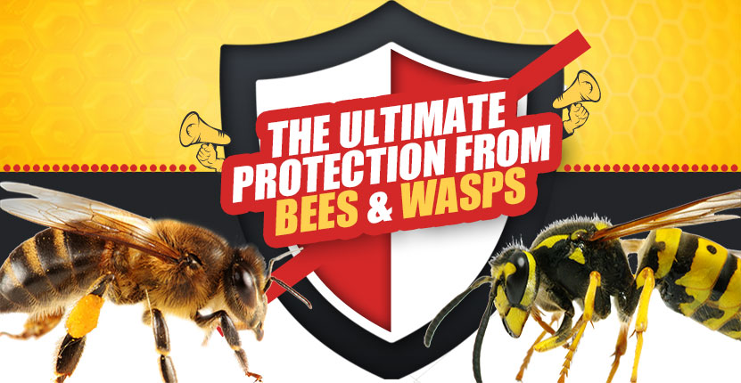 The Ultimate Protection from Bees and Wasps