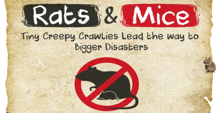 Comprehensive Information on Rats and Mice Infographic