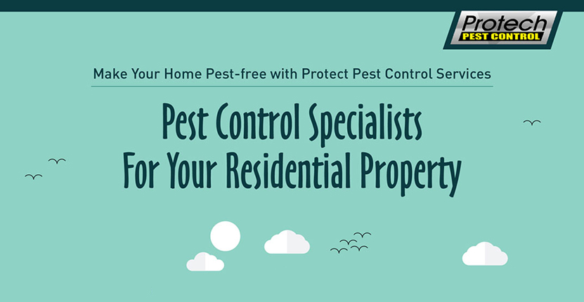 Residential Pest Control
