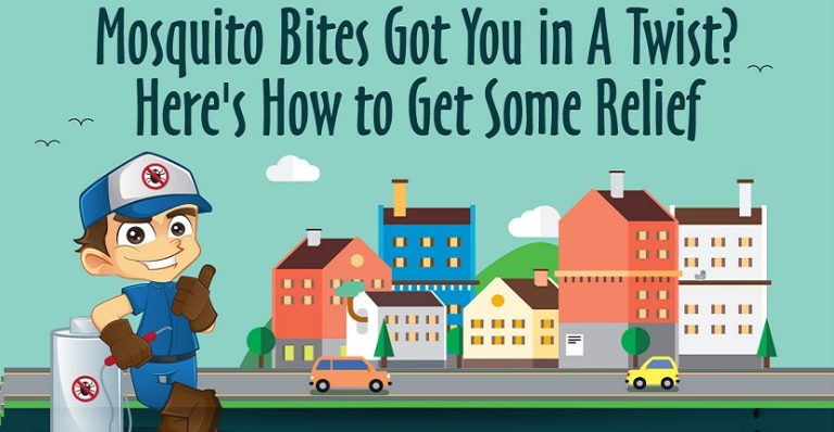 Mosquito Bites Got You in A Twist