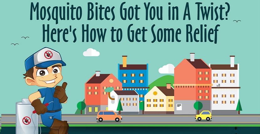 Mosquito Bites Got You in A Twist