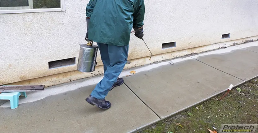 Pest Control