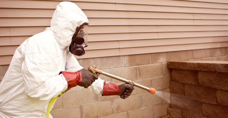 Pest Control Melbourne