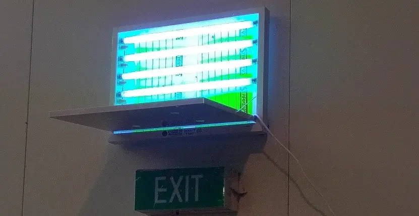 Insect Light Trap