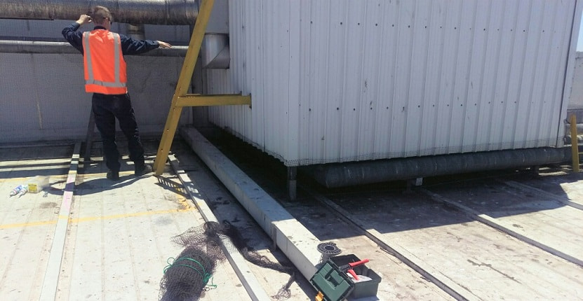 Pest control service in Melbourne