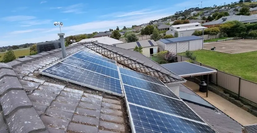 Solar panel bird protection