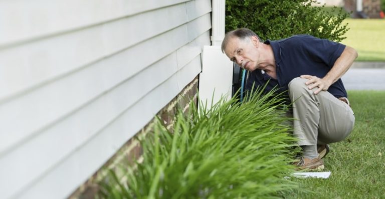 Professional Pest Control