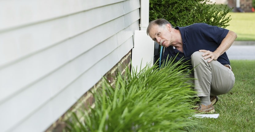 Professional Pest Control