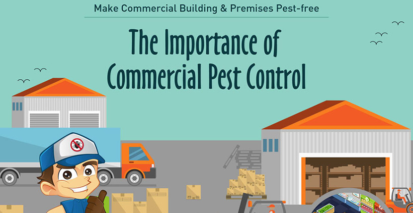 Most Common Pests found in Commercial Building & Premises