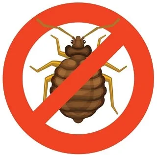 Bed bug mattress and bedding prepared for professional treatment