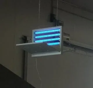 Commercial insect light trap