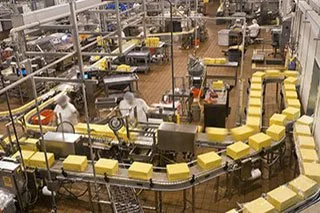 Pest control for a Melbourne dairy processing facility