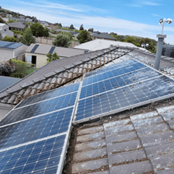 installed eagle eyes to deter the pigeon