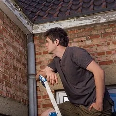 Exterior areas inspected during a building pest examination