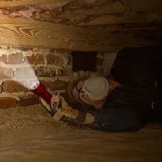 Grounds inspected during a building pest examination
