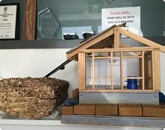 termite treatment melbourne