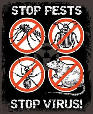 Insects and Rodent
