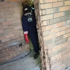 Interior areas inspected during a building pest examination