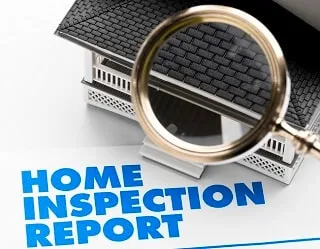 Building pest inspection report