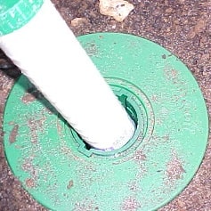 Possum Proofing