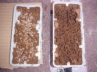 EXTERRA Termite Baiting