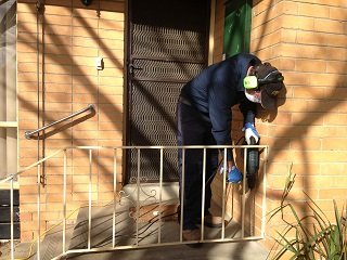Termite inspection Melbourne
