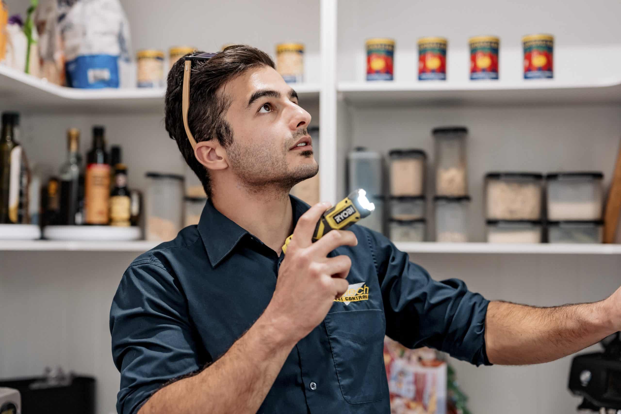 termite control melbourne