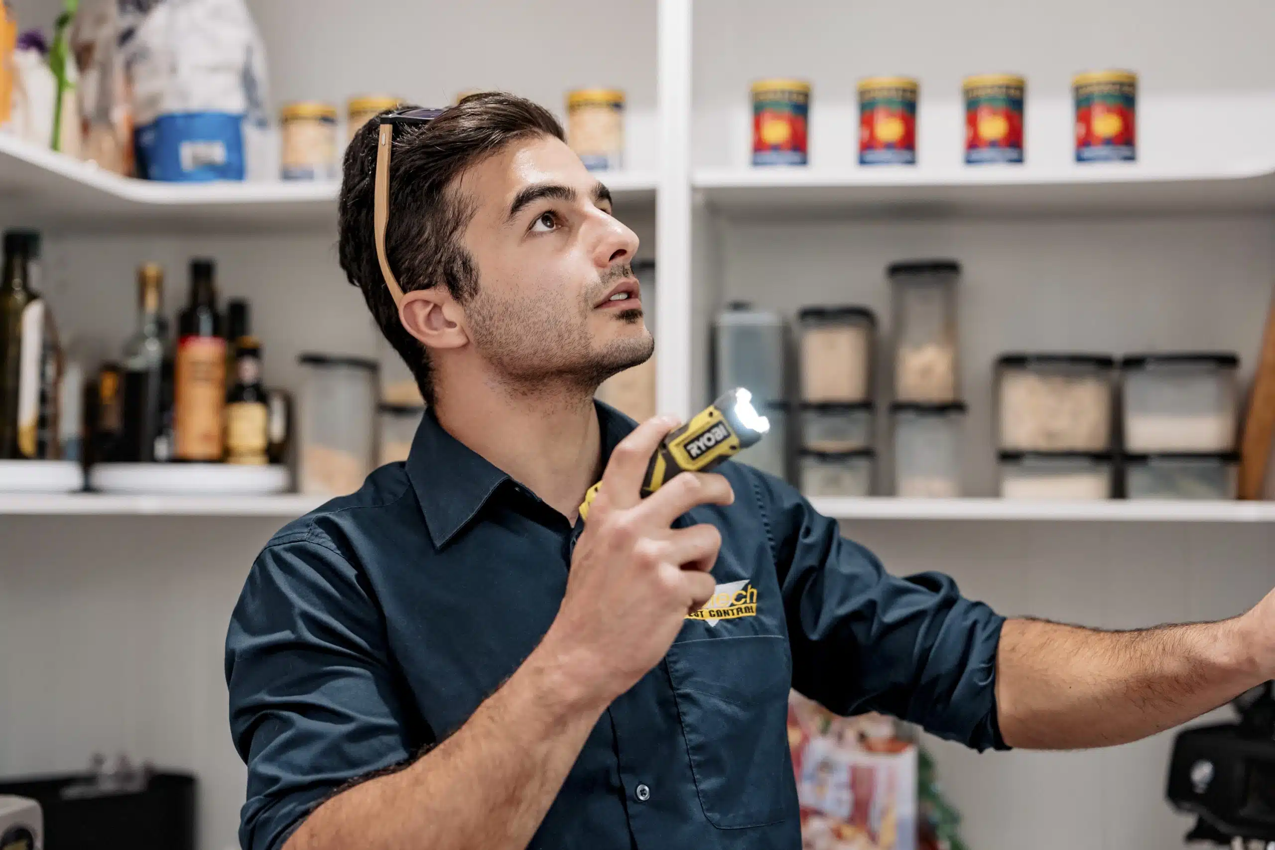 Termite control Melbourne