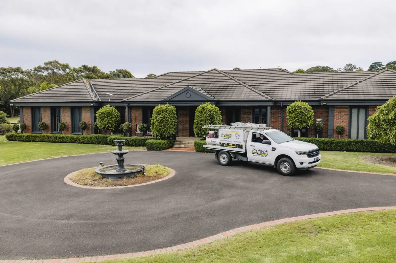Termite Control