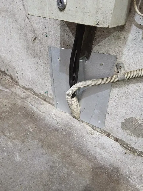 Rodent Entry at Conduit Penetrations — Sealed